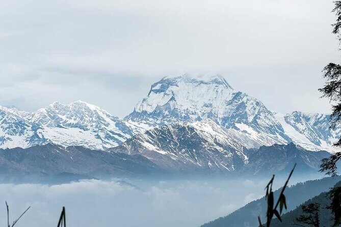 Annapurna Base Camp with Poon hill 9-Day Trek Itinerary - FAQs