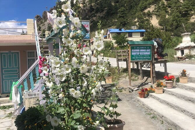 Annapurna Circuit Trek in Nepal (9 Days) - A Deep Dive into the Annapurna Circuit Experience