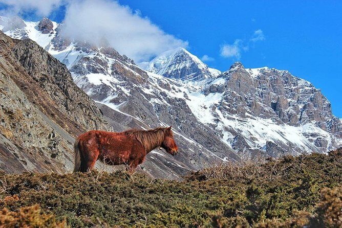 Annapurna Circuit Trek with Heritage Highlights - The Detailed Itinerary: What to Expect