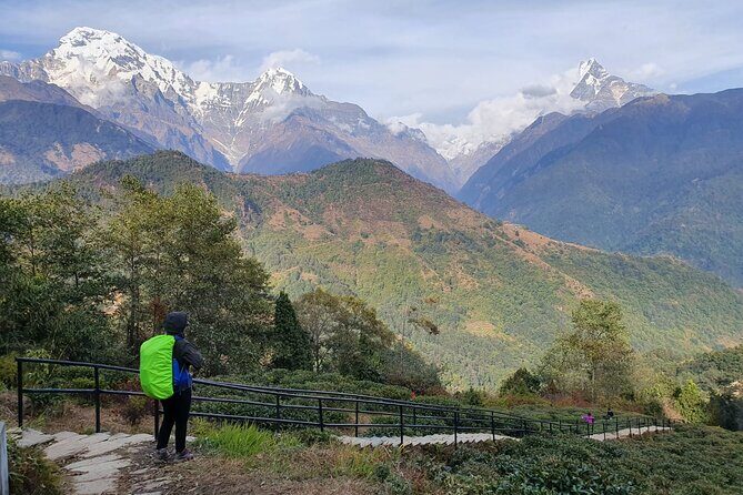 Annapurna Poon Hill Sunrise Trek - Authentic Travel Insights from Past Travelers