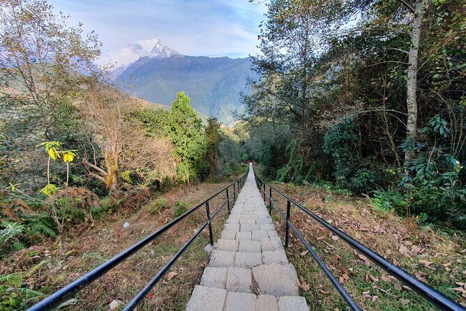 Annapurna Poon Hill Sunrise Trek - Who Is This Trek Ideal For?