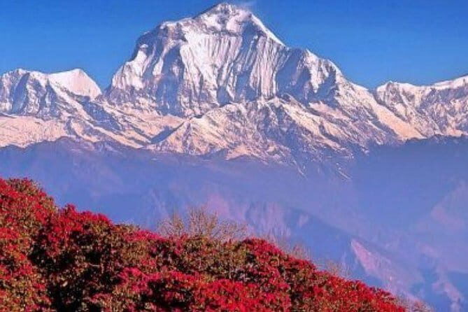 Annapurna Poon hill Sunrise Trek - Key Points