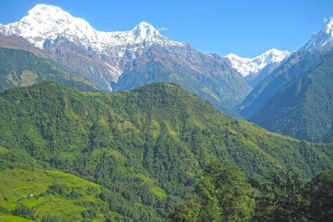 Annapurna Sanctuary Trek - 14 Days - An In-Depth Look at the 14-Day Trek Experience