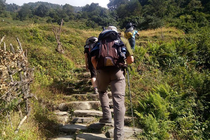 Annapurna Sunrise Trek - Introduction: What You Can Expect from the Annapurna Sunrise Trek