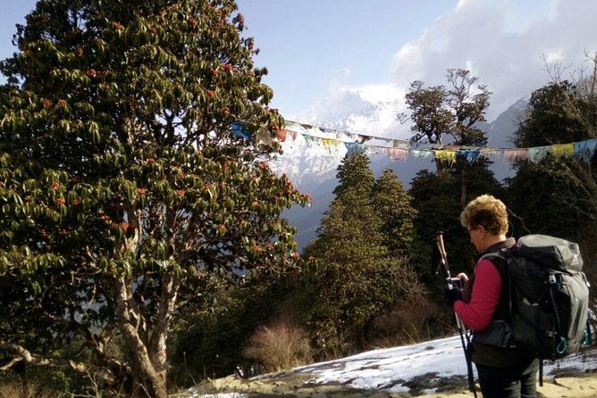 Annapurna Sunrise Trek - Transportation and Logistics: Why They Matter