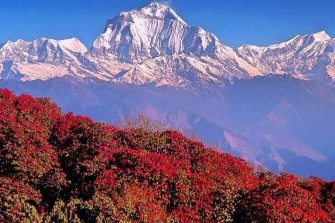 Annapurna Sunrise Trek from Kathmandu - FAQ
