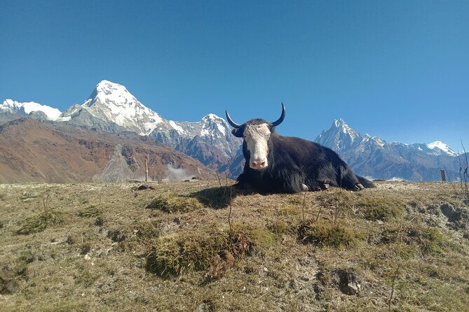 Annapurna View Trek - FAQ