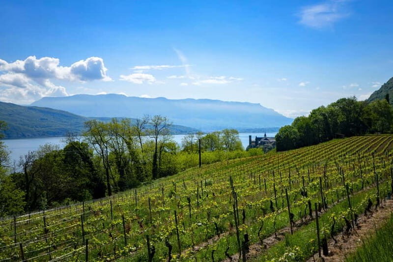 Annecy and Aix les Bains: Mont Revard & Wine Tasting at the Summit - Why the Experience Offers Great Value