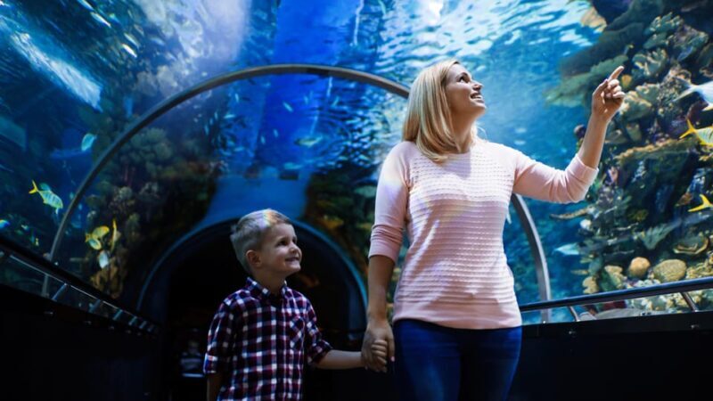 Antalya: Aquarium and Wax Museum Entry Ticket - FAQ