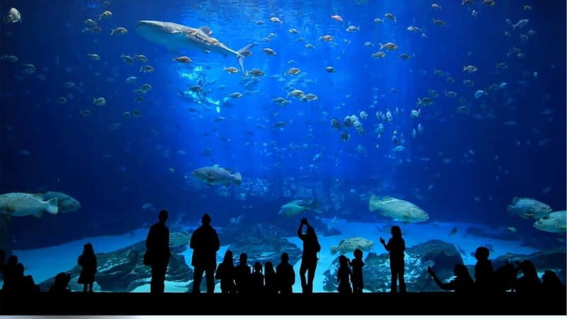 Antalya: Aquarium, Wax Museum, Snow World & Wild Park Ticket - Practicalities and Tips for Visitors