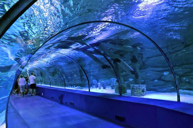 Antalya Aquarium, Wax Museum, Snow World, Wild Park, XD Cinema - Who Should Consider This Tour?