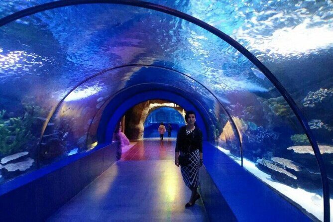 Antalya Aquarium, Wax Museum, Snow World, Wild Park, XD Cinema - FAQs