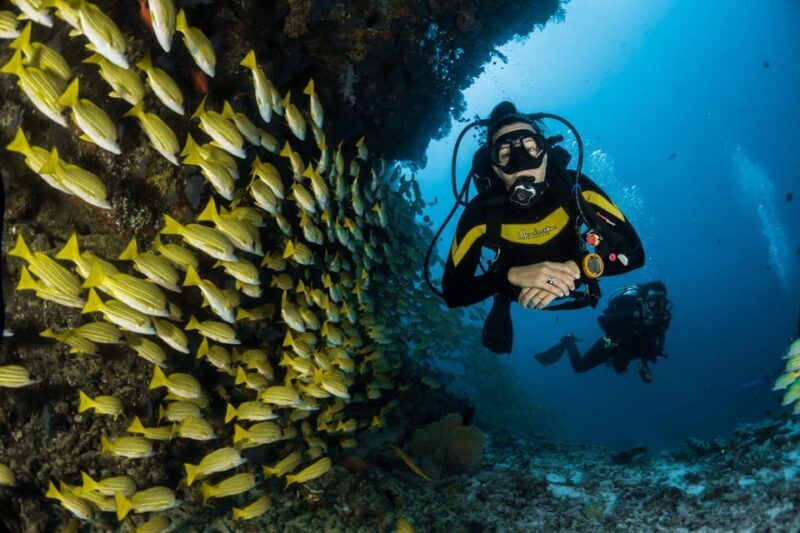 Antalya/ Belek Scuba Diving Tour With 2 Time Dive & Lunch - Key Points