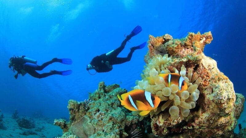 Antalya/ Belek Scuba Diving Tour With 2 Time Dive & Lunch - Why This Tour Offers Good Value