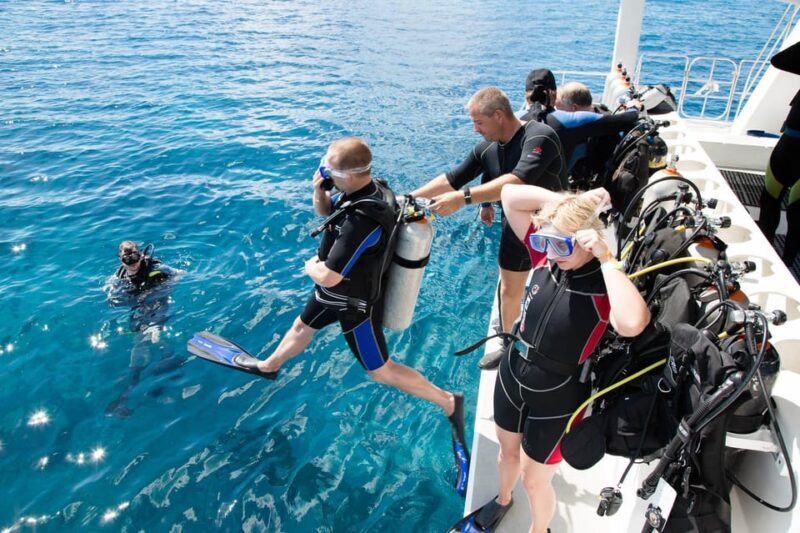 Antalya/ Belek Scuba Diving Tour With 2 Time Dive & Lunch - Final Thoughts