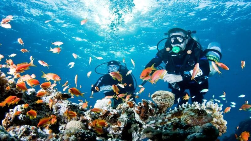 Antalya/ Belek Scuba Diving Tour With 2 Time Dive & Lunch - FAQ