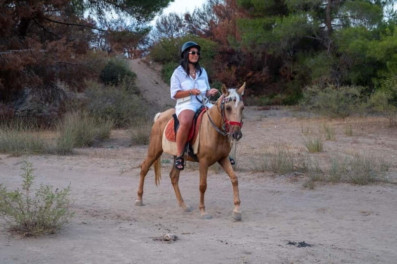 Antalya: Deniz Molal At Safarisi - The Sum Up