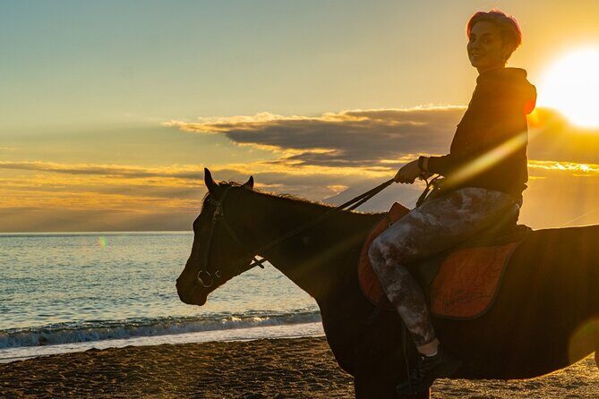 Antalya Horse Riding On Beach And Through The Forests For 2 Hours - An In-Depth Look at the Experience