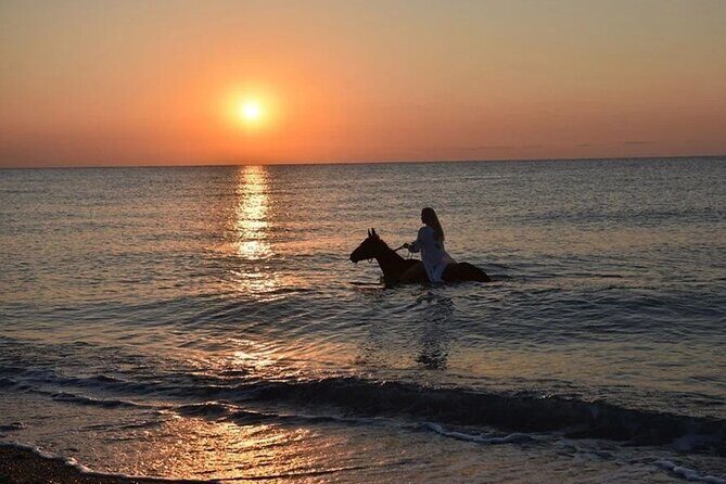 Antalya Horse Riding On Beach And Through The Forests For 2 Hours - Practical Tips for Booking and Enjoying Your Ride