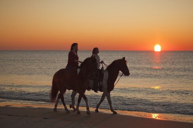 Antalya Horse Riding On Beach And Through The Forests For 2 Hours - Who Is This Tour Best For?