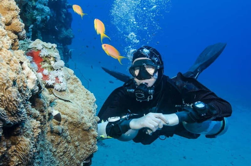 Antalya/Kemer: Scuba Diving Experience with 2 Dives & Lunch - Key Points