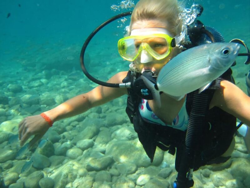 Antalya/Kemer: Scuba Diving Experience with Lunch & Pick up - The Reviews: Authentic Voices