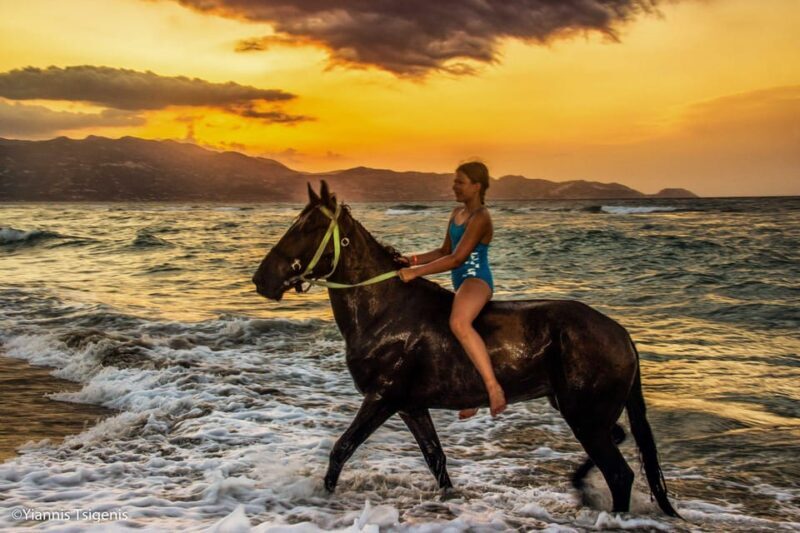 Antalya: Lara Beach & Forrest Horse Riding Safari - Authentic Experiences and Real-Life Insights