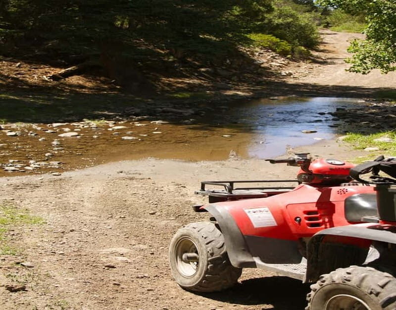 Antalya: Quad-Bike Excursion in Side Forest & Hotel Pick-Up - Value for Money & Practical Tips