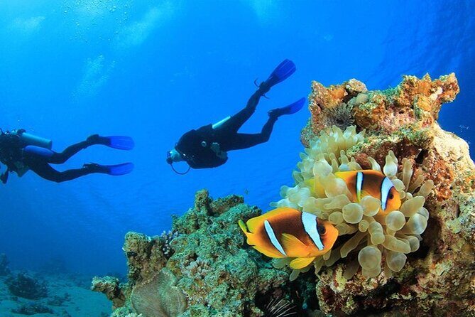 Antalya Scuba Diving With Transfer From Belek,Lara,Kemer Hotels - The Itinerary Breakdown: What to Expect
