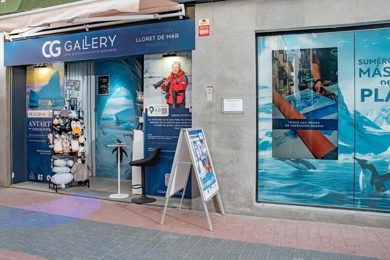 Antarctica Interactive Experience - Key Points