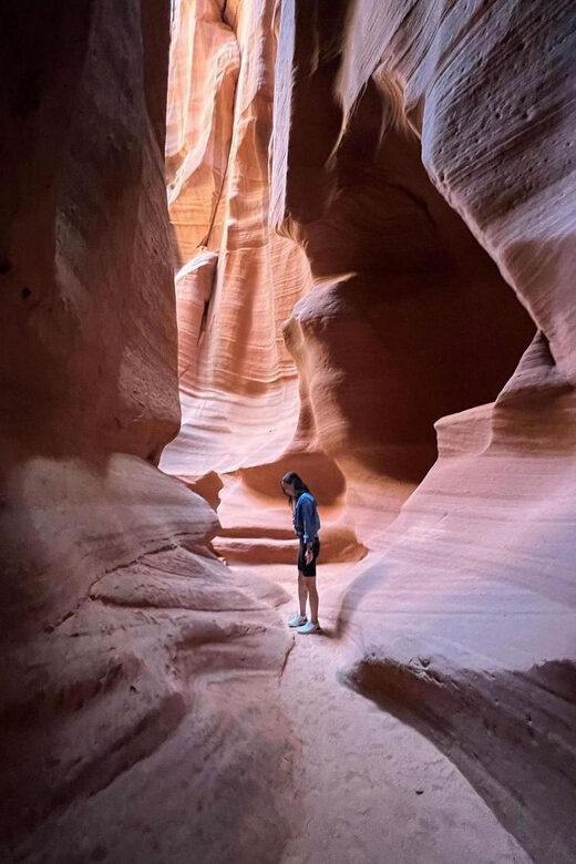Antelope Canyon and Horseshoe Bend Vip small group tour - An Overview of the Experience