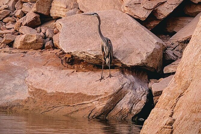 Antelope Canyon/Lake Powell Kayak Rentals: Self-Guided Adventures - The Sum Up