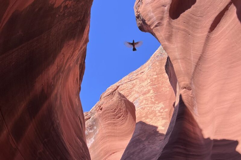 Antelope Canyon: Rattlesnake Canyon Tour - A Deep Dive into the Rattlesnake Canyon Experience