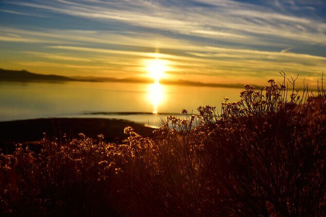 Antelope Island Sunset Wildlife Expedition Great Salt Lake Tour - Who Should Consider This Tour?