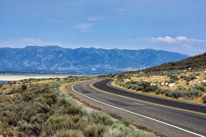 Antelope Island Wildlife Expedition Great Salt Lake Adventure - FAQs