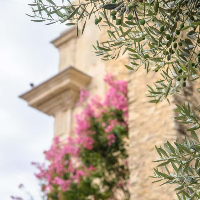 Antibes: Express Walk with a Local in 60 minutes - A Closer Look at the Tour Experience
