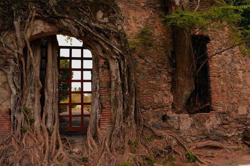 Antigua and Cempoala Tour from Veracruz - An In-Depth Look at the Tour Experience