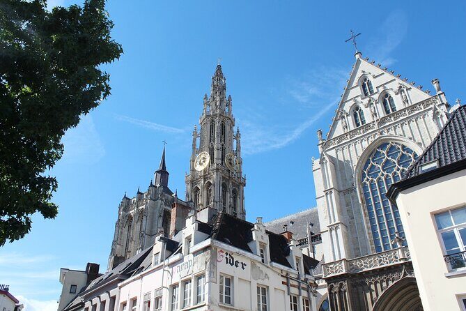 Antwerp Private Walking Tour With A Professional Guide - A Deep Dive into the Tour Experience
