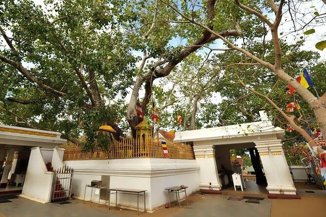 Anuradhapura Ancient City Tuk Tuk Tour - Detailed Breakdown of the Itinerary