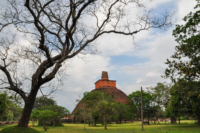 Anuradhapura Buddhist Icons Tour from Habarana - Key Points