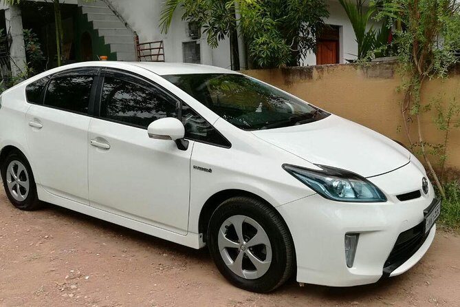 Anuradhapura City to Elephant Pass City Private Transfer - FAQ