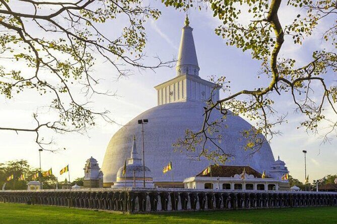 Anuradhapura Day Tour From Sigiriya - What Reviewers Highlighted