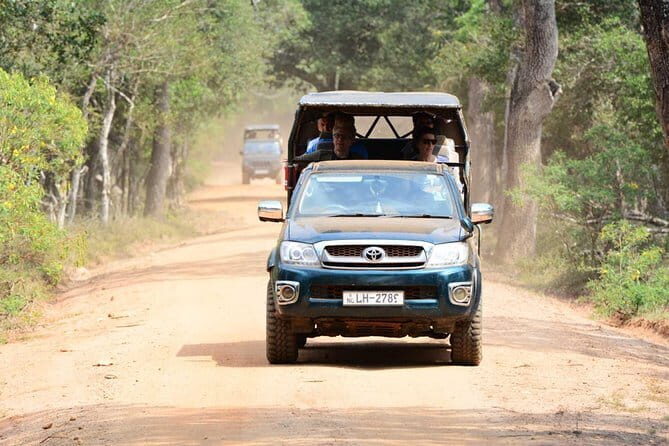 Anuradhapura: Full-Day Wilpattu National Park Private Safari - Detailed Review of the Wilpattu Safari Experience