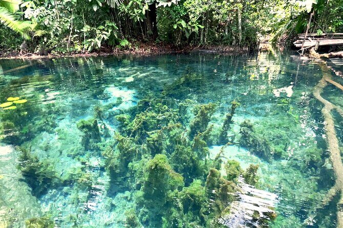 Ao Nang Kayaking at Klong Rud with Hotel Transfer - Overview of the Experience