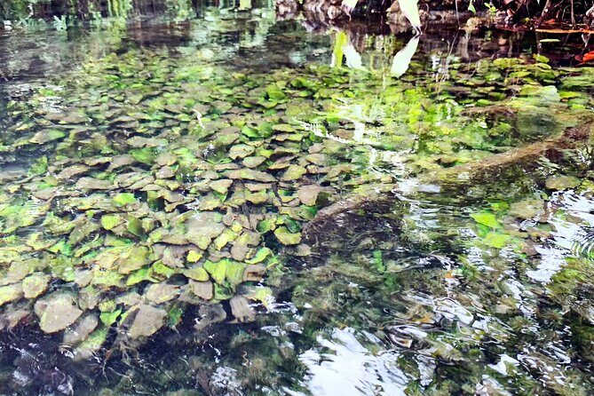 Ao Nang Kayaking at Klong Rud with Hotel Transfer - The Sum Up