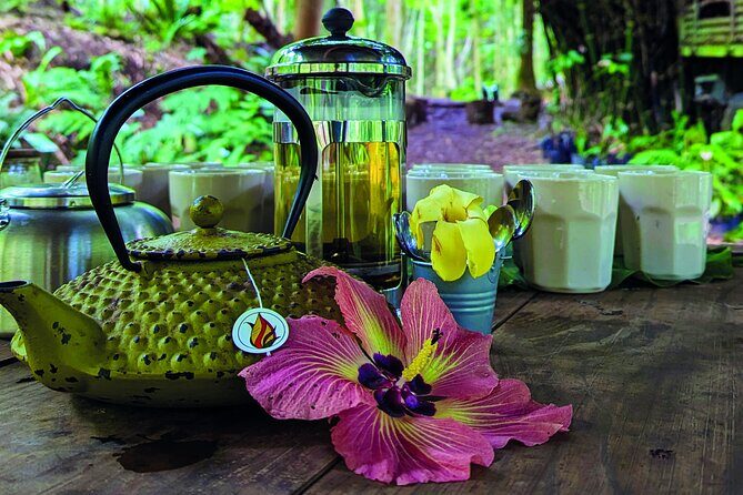 AOA Polynesian Forests - Hiking Sanctuary Biodiversity Tahiti - What Travelers Say: Authentic Insights from Reviews