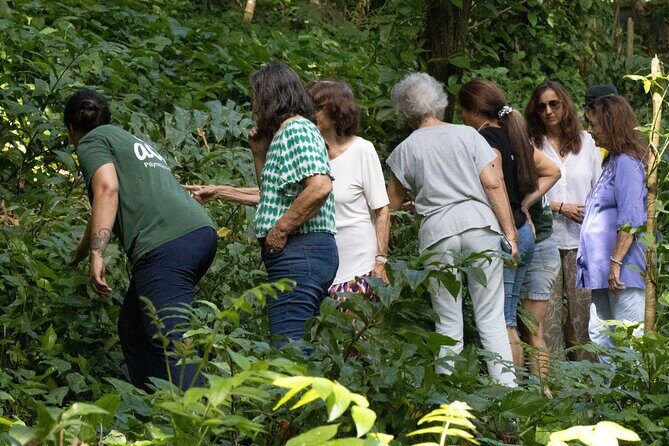 AOA Polynesian Forests - Hiking Sanctuary Biodiversity Tahiti - FAQ