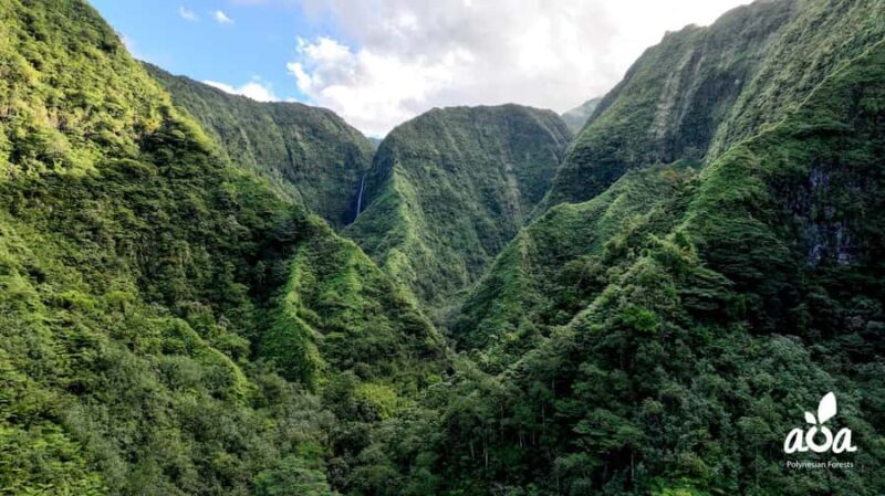 AOA Polynesian Forests - Tahiti Biodiversity Sanctuary Hike - Why This Tour Offers Great Value