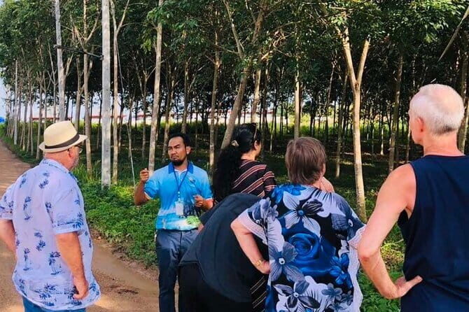 Aonang Cultural Exploration on Temple, Market and Thai Visit - An Introduction to the Tour Experience