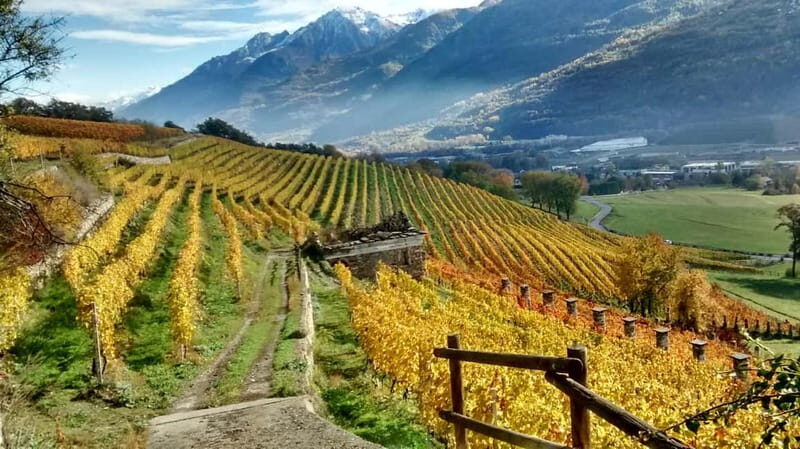 Aosta Valley: Visit and wine tasting at the Grosjean winery - FAQ